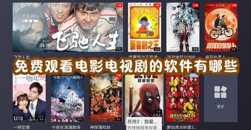 影视剧免费观看平台,揭秘热门影视剧免费观看平台